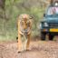 ranthambore1