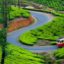 munnar1