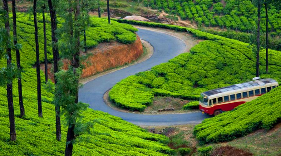 munnar1