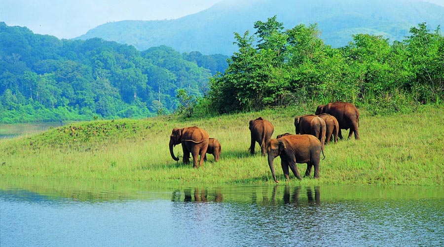 periyar1